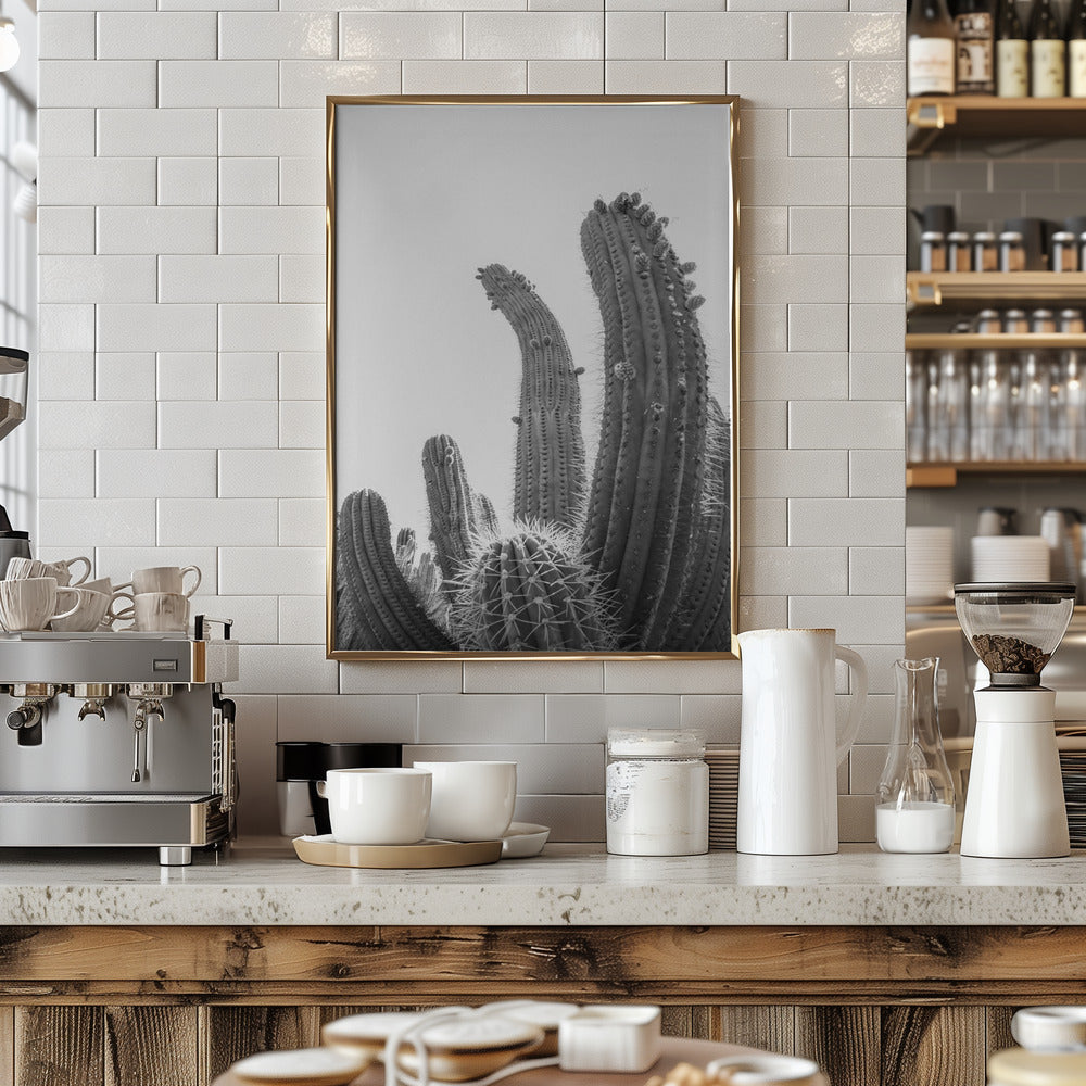 Cactus Poster